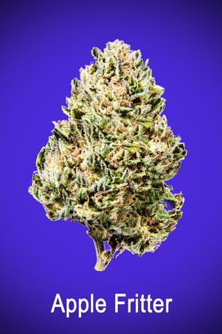 Maggie's Signature Stash | Apple Fritter H | Loose Flower