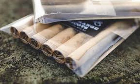 Oreo Blizzard x 10G's 10pk Preroll (Benson Arbor)
