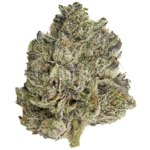 WHITE WIDOW