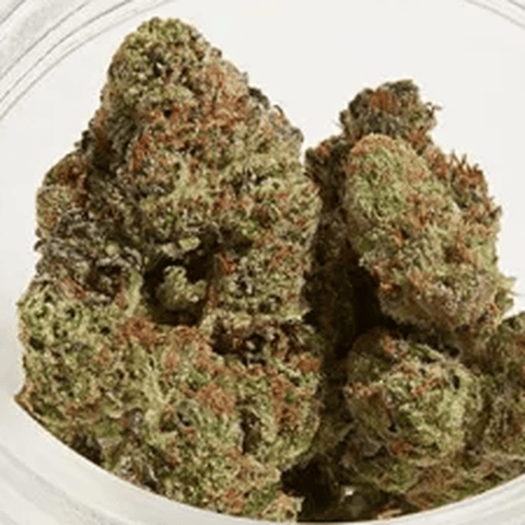 PENROSE - CAKE PIE - BULK SILVER TIER BUD