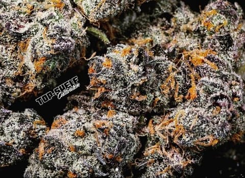 TOP SHELF CULTIVATION - Whoa si Whoa (3.5G)