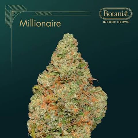 The Botanist - Millionaire - |1G Pre-Roll