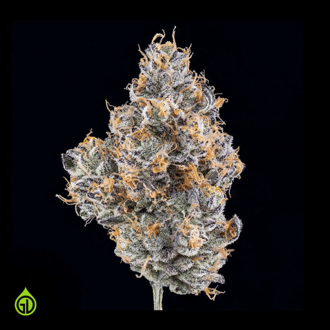 Green Dot | Paloma | Flower Jar | 3.5G