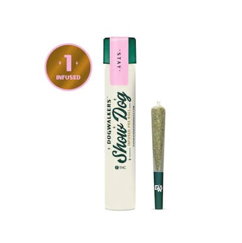 Josh D OG Kush Big Dogs Infused PRJ - Dogwalkers Show Dog (Sit)