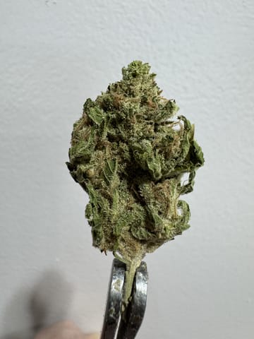 Alien Space Craft Bulk - 24% - 14G