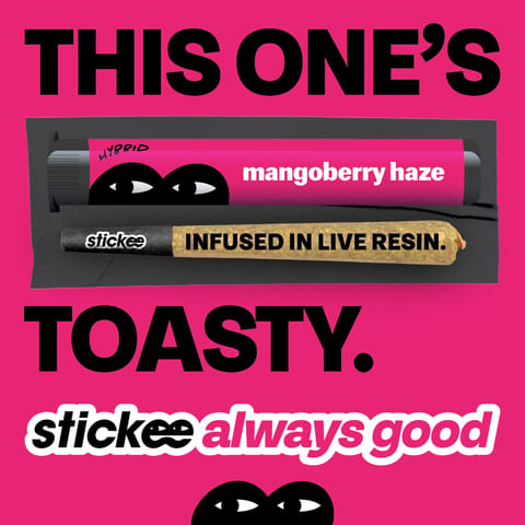 Stickee 1.2G Live Resin Infused -Mangoberry Haze