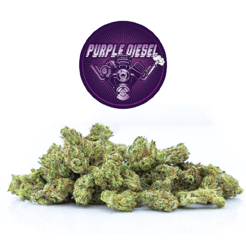 Purple Diesel Popcorn | Indica-Hybrid - | Eighth
