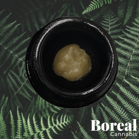 Hippie Speed Ball | Boreal Cannabis Live Rosin 1g