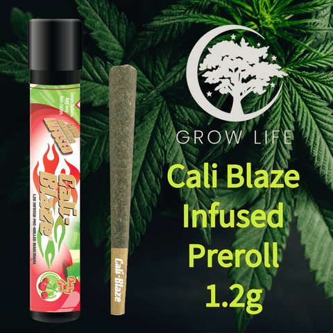 Cali Blaze Infused Joint Race Fuel OG 1.2g (REC)
