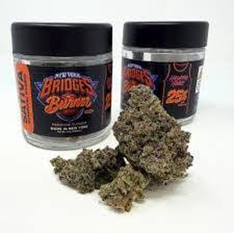 Hashtag Honey | Bridges Burner | Flower | 3.5g