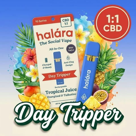 Halara Tropical Juice Day Tripper CBD 1:1