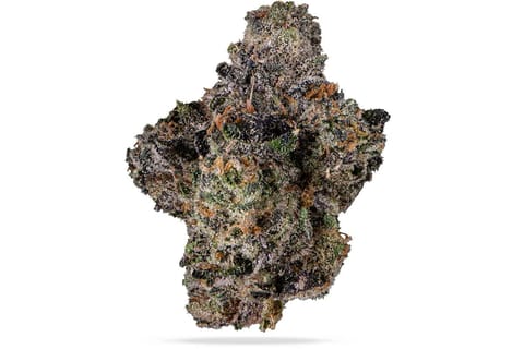 Hog Leg Farm - Gary Payton x Jealousy - (H) Flower