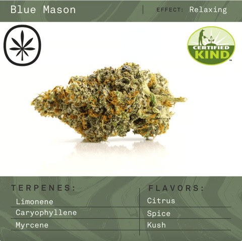 Apothecare Certified Organic Blue Mason