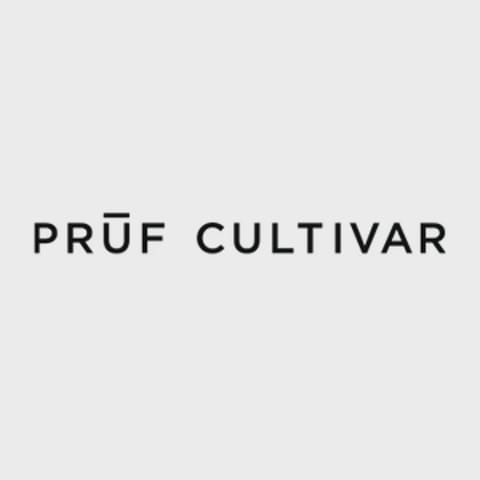 Pruf Cultivar - Two by Four #3 - Indoor