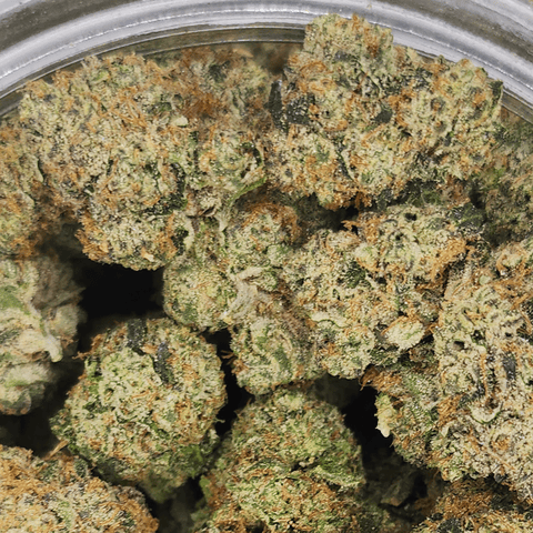 Caked Up Candy - .