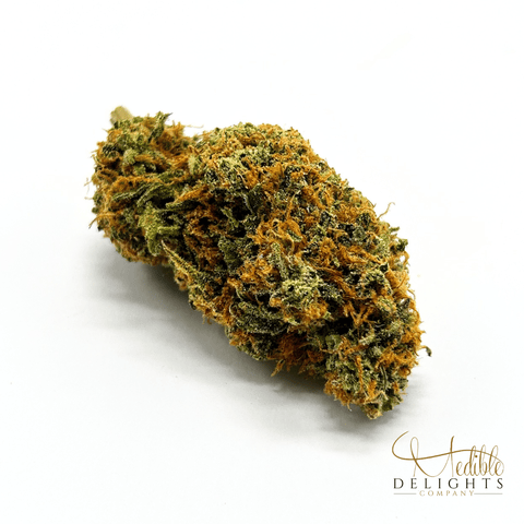 Aurora - 14g