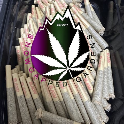 Grape Cake Mintz (0.5g) Single by Snowcapped Gardens *Final Price*