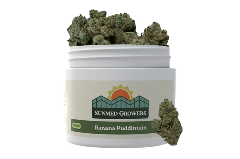SunMed | 7g | - Banana Puddintain | 7g Container