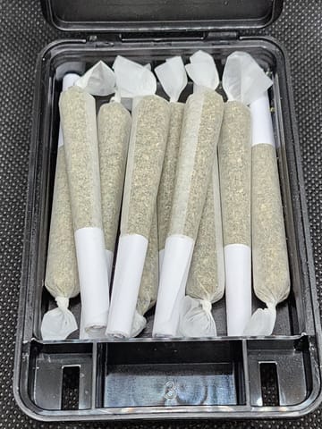 Animal Cookies BX 10pk House Preroll (Williams Wonder)
