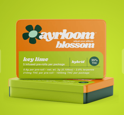 Ayrloom | Key Lime | Infused Preroll 5pk | 3g