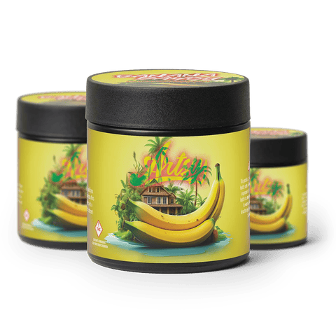 Artsy | 7G Pre-Pack Jar: Banana Bayou