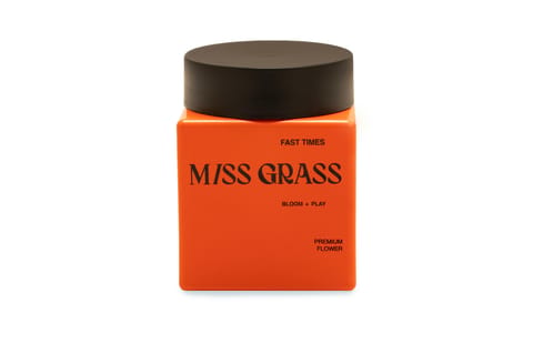 Miss Grass | Sunshine Jack | Fast Times | Flower | 3.5g