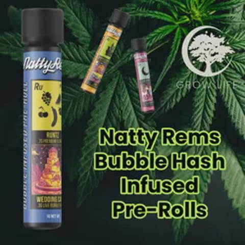 Natty Bubble Hash Pre-Roll Peach Marachino x Honey Banana 1g (REC)