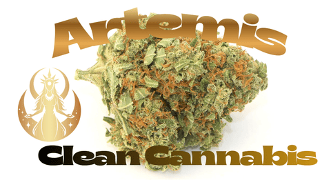 Artemis Flower Clean Cannabis