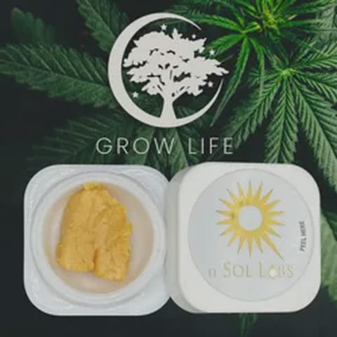 El Sol Labs Wax Arctic Queen 1g (REC)