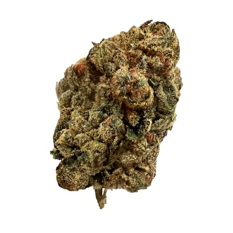 Kaya - Island Sweet Skunk - (S) Flower