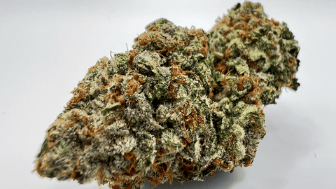 GG4 - 3.5g PrePack