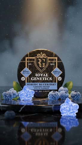 Royal Genetics | Nordic Blueberry | Edible | 100mg