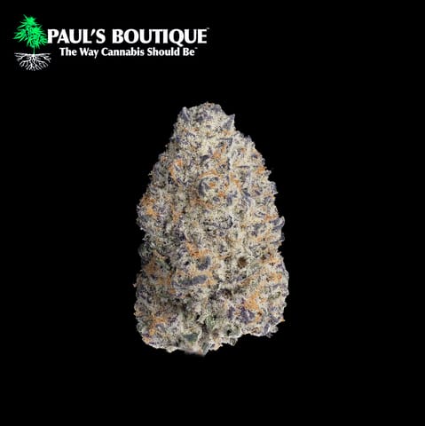 1/8oz | Banana Breath
