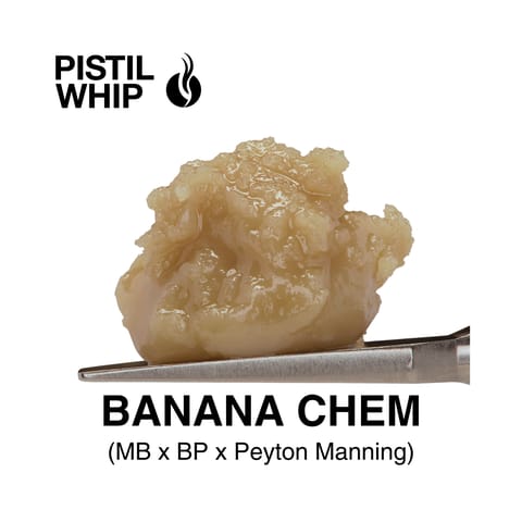 PISTIL WHIP - ROSIN BADDER - BANANA CHEM - 1G