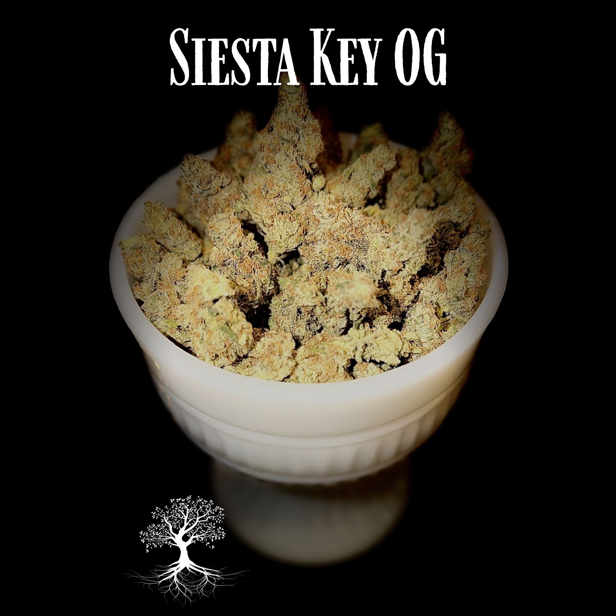 Buds - Siesta Key OG