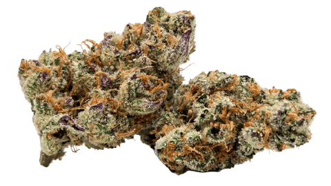 FLOWER | HAWAIIAN HASHBERRY | SATIVA DOMINANT HYBRID | 1 GRAM