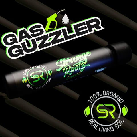 Gas Guzzler (Pre Rolls)