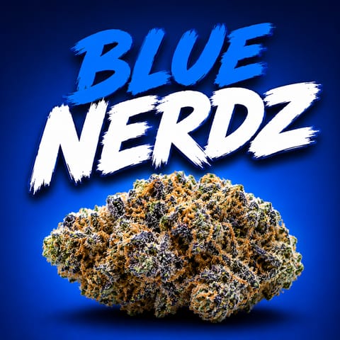 Blue Nerdz - Flower - 3.5
