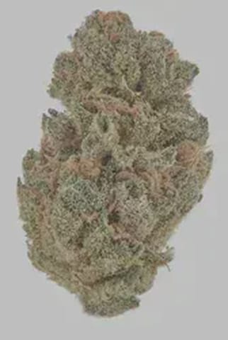 Rare Dankness | Flower | Chemdawg #4 | H