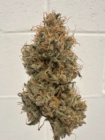 Choof | Huckleberry Juice | 3.5g