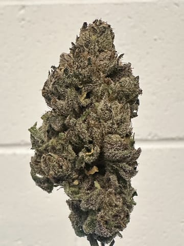 Alt Sol | Cherry Lemonade | 3.5g