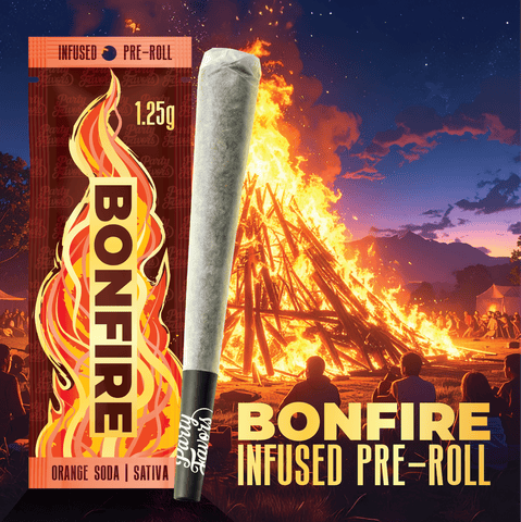 Orange Soda 1.25g Infused Pre-Roll