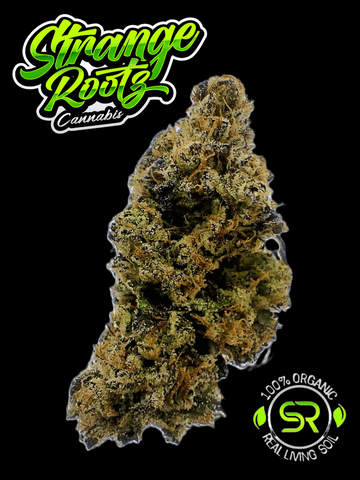 Cherrylicious (Buds)