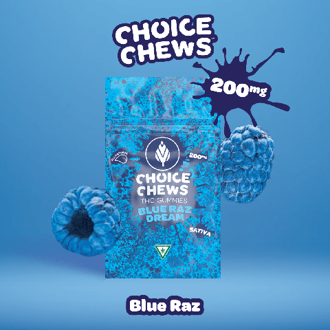 Blue Razz Dream (Sativa)