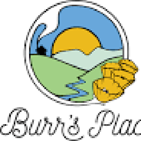 Burr's Place | Orange Creampop (S) | 14g Sungrown Flower