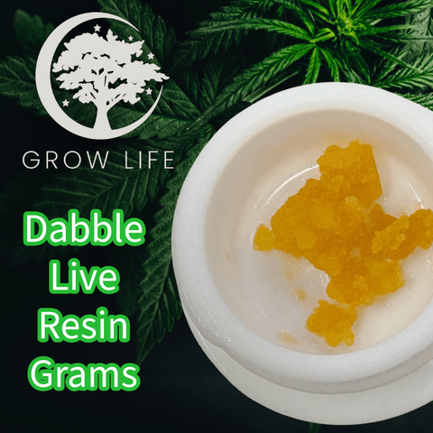Dabble Live Resin Bubblegum 1g (REC)