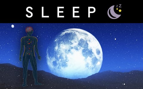 CuratedFX | Sleep | Grape | 20pk