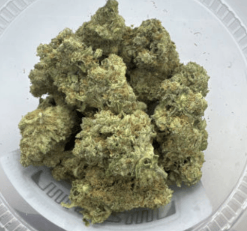 Urban Farm | Snow Ball | Flower |