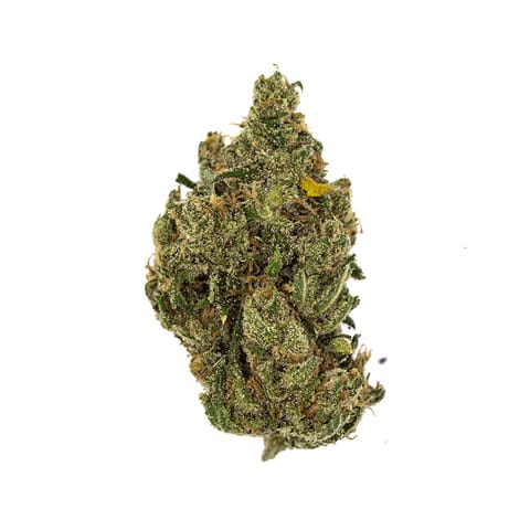 Jack Herer ~ Bulk