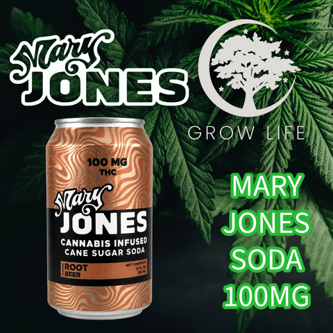 Mary Jones Soda Root Beer 100mg (REC)